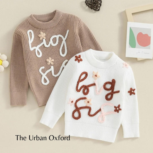 Cute Crew Neck Sweater with Embroidered Letter
